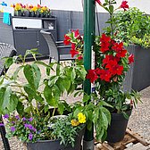 Schillereck Lorsch Biergarten